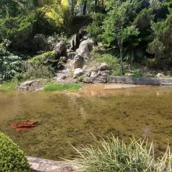 Jardim Botânico de Jundiaí - Jundiai