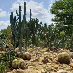 Jardim Botânico de Jundiaí - Jundiai
