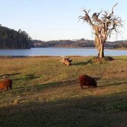Parque da Malota - Jundiai