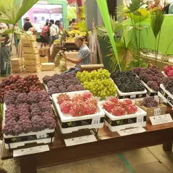 Parque da Uva - Jundiai