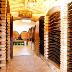 Vinícola Goes - Jundiai