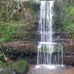 Parque Natural Municipal São Francisco de Assis - Lages