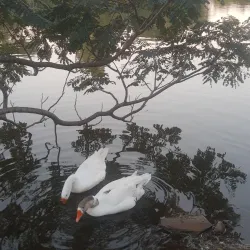 Parque dos Dick - Lajeado