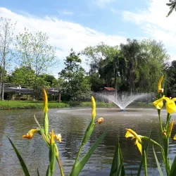 Parque Natural Municipal de Lajeado - Lajeado