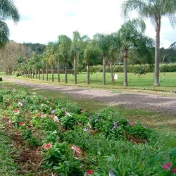 Parque Natural Municipal de Lajeado - Lajeado