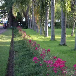 Parque Natural Municipal de Lajeado - Lajeado
