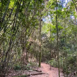 Parque Natural Municipal de Lajeado - Lajeado