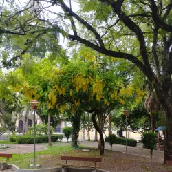 Praça da Matriz - Lajeado