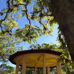 Praça da Matriz - Lajeado