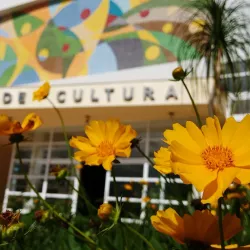 Centro Cultural UFLA - Lavras