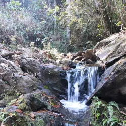 Parque Natural Municipal da Serra de Lavras - Lavras