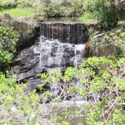 Parque Natural Municipal da Serra de Lavras - Lavras