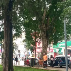Praça Dr. Augusto Silva - Lavras