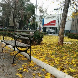 Praça Dr. Augusto Silva - Lavras