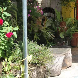 Centro Cultural de Limeira - Limeira