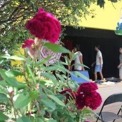 Centro Cultural de Limeira - Limeira