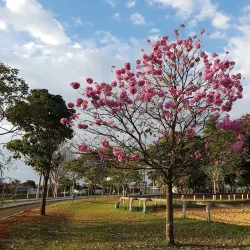 Parque Cidade - Limeira