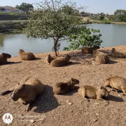 Parque Ecológico de Limeira - Limeira