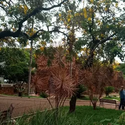 Praça Toledo Barros - Limeira
