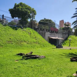 Museu Histórico de Londrina - Londrina