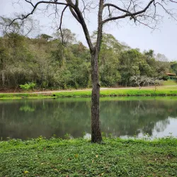 Parque Arthur Thomas - Jardim Botânico - Londrina