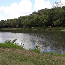 Parque Arthur Thomas - Jardim Botânico - Londrina