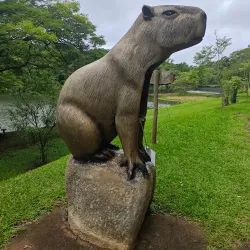 Parque Arthur Thomas - Jardim Botânico - Londrina