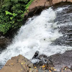 Parque Arthur Thomas - Londrina
