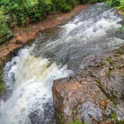 Parque Arthur Thomas - Londrina