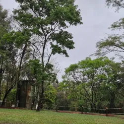 Parque Estadual Mata dos Godoy - Londrina