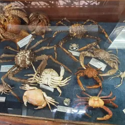 Museu do Mar de Macaé - Macaé