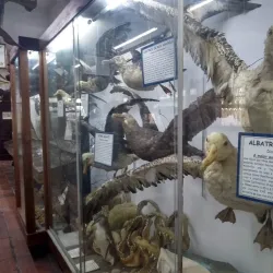 Museu do Mar de Macaé - Macaé