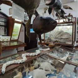 Museu do Mar de Macaé - Macaé