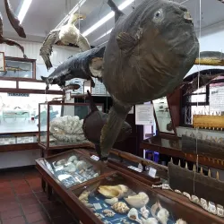 Museu do Mar de Macaé - Macaé