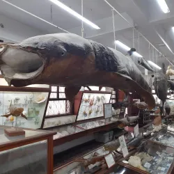 Museu do Mar de Macaé - Macaé