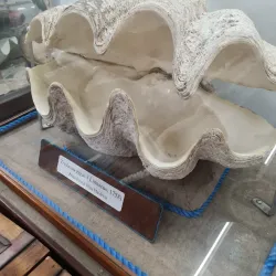 Museu do Mar de Macaé - Macaé