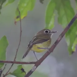Parque Municipal do Atalaia - Macaé