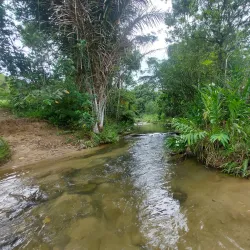 Parque Municipal do Atalaia - Macaé