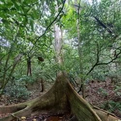 Parque Municipal do Atalaia - Macaé