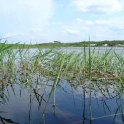 Parque Nacional da Restinga de Jurubatiba - Macaé