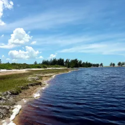 Parque Nacional da Restinga de Jurubatiba - Macaé