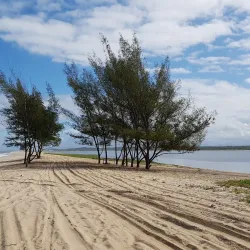 Parque Nacional da Restinga de Jurubatiba - Macaé