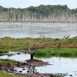 Parque Nacional da Restinga de Jurubatiba - Macaé