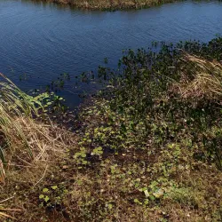 Parque Nacional da Restinga de Jurubatiba - Macaé
