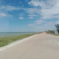 Parque Nacional da Restinga de Jurubatiba - Macaé