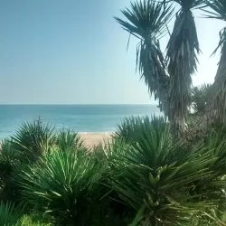 Praia Campista - Macaé