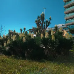 Praia do Pecado - Macaé