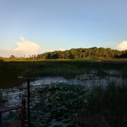 Lagoa dos Índios - Macapa