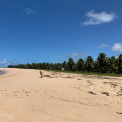 Gunga Beach - Maceio - Alagoas