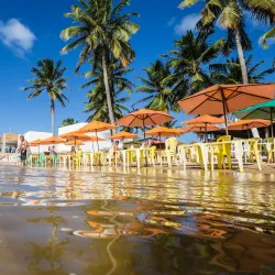 Gunga Beach - Maceio - Alagoas